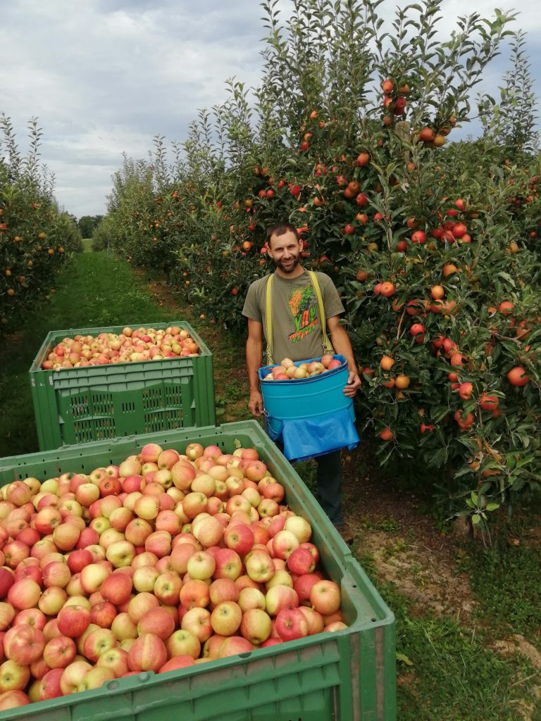 Obstbau Heinzelmann Früchte vom Glarner Obstbauer